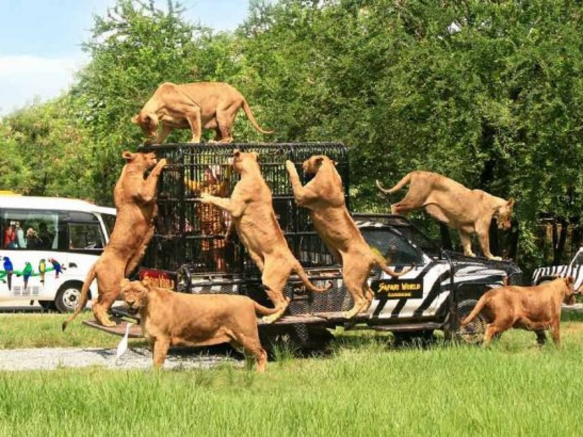 safari-world-bangkok