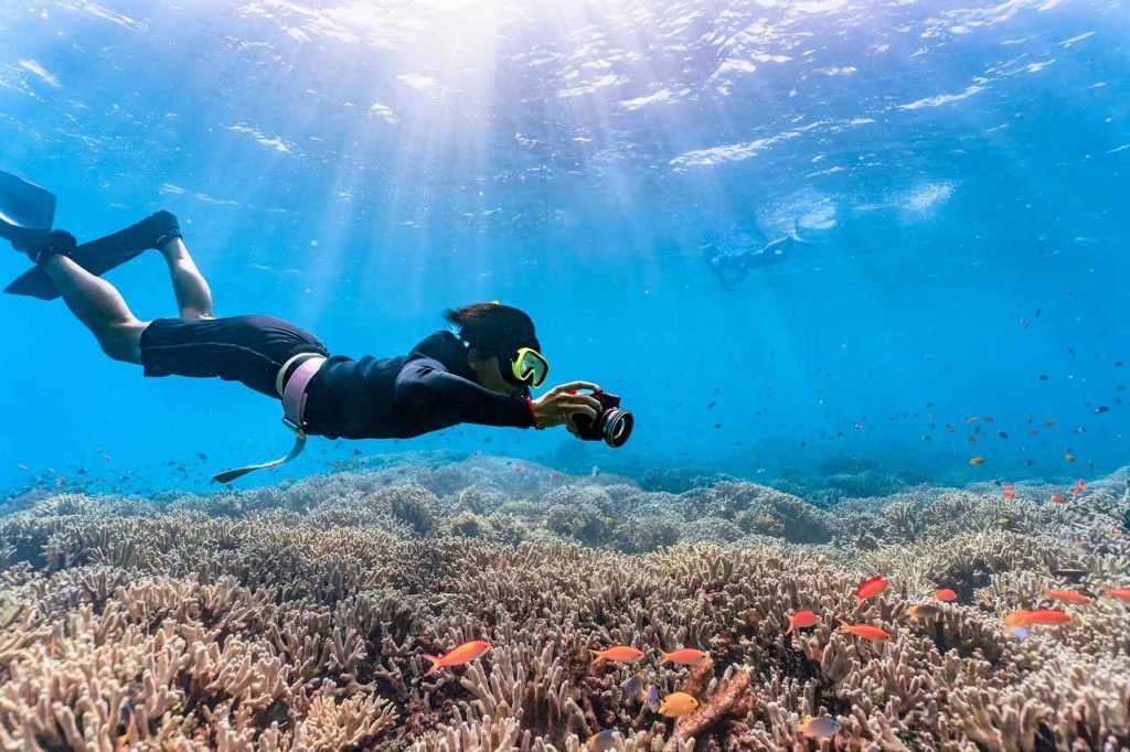 maafushi snorkling